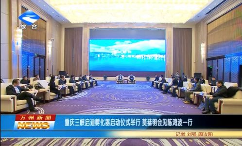 三峽啟迪孵化器啟動(dòng)儀式暨區(qū)域創(chuàng)新生態(tài)產(chǎn)業(yè)鏈發(fā)展論壇在重慶隆重舉行